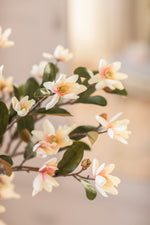 Cara | Faux Magnolia Arrangement